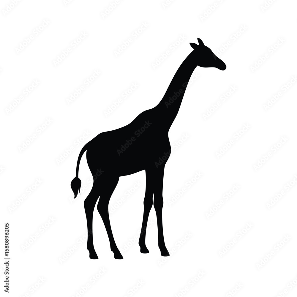 Fototapeta premium A sleek black silhouette of a giraffe stands tall against a transparent background