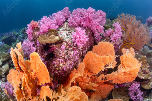 Fotografie Colorful underwater landscape around Talang Pinnacle or Stonehenge, the most popular dive site for scuba diving in the area of Lipe island, Tarutao National Park in Satun Province, Thailand