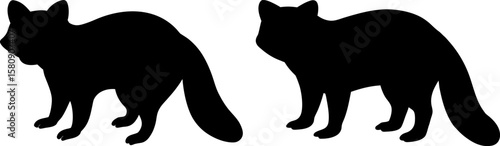 Raccoon vector, Vector of Raccoon, A set of Raccoon animal art designs, Raccoon icon isolated
