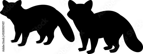 Raccoon vector, Vector of Raccoon, A set of Raccoon animal art designs, Raccoon icon isolated