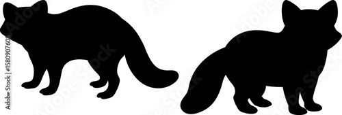Raccoon vector, Vector of Raccoon, A set of Raccoon animal art designs, Raccoon icon isolated