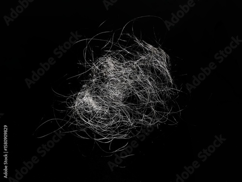 Obraz na plátně Hair loss, black and white hair falling out isolated on black background