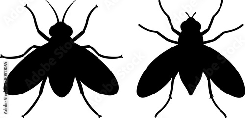 Termite vector, Vector of Termite, A set of Termite animal art designs, Termite icon isolated