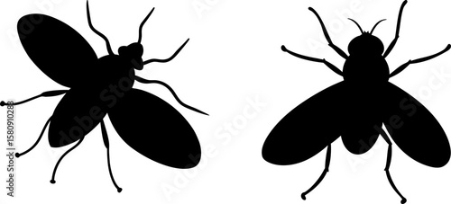 Termite vector, Vector of Termite, A set of Termite animal art designs, Termite icon isolated
