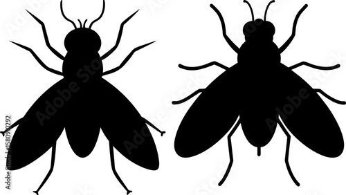 Termite vector, Vector of Termite, A set of Termite animal art designs, Termite icon isolated
