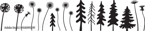 Diverse nature silhouettes: Dandelions and evergreens