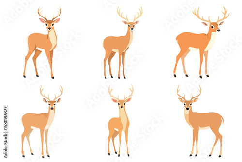 Set of Brown Male Deer with Antlers Vector Illustrations Collection. Wild Forest Animal Buck Stag Fawn Wildlife Nature Fauna Scalable Graphic Pack.