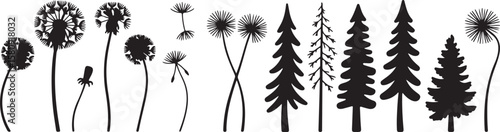 Diverse nature silhouettes: Dandelions and evergreens