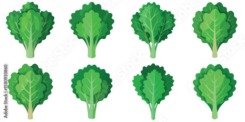 Illustration of eight different bok choy vegetables on a white background