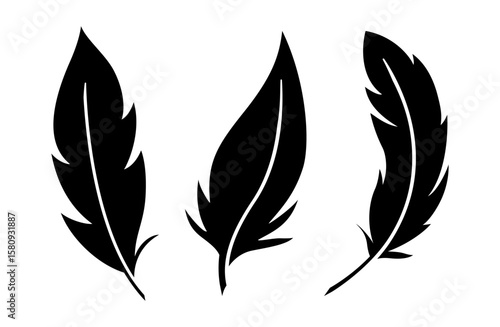Vector Bird Feathers set isolated on white. Black glyph quill collection in cartoon style