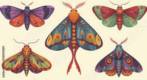 Obraz Detailed vector illustration featuring five colorful moths with intricate patterns and designs
