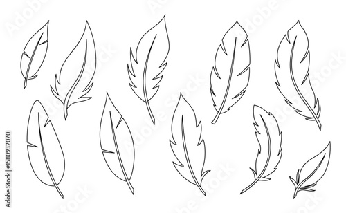 Bird Feathers set isolated on white. Linear vector outline collection.