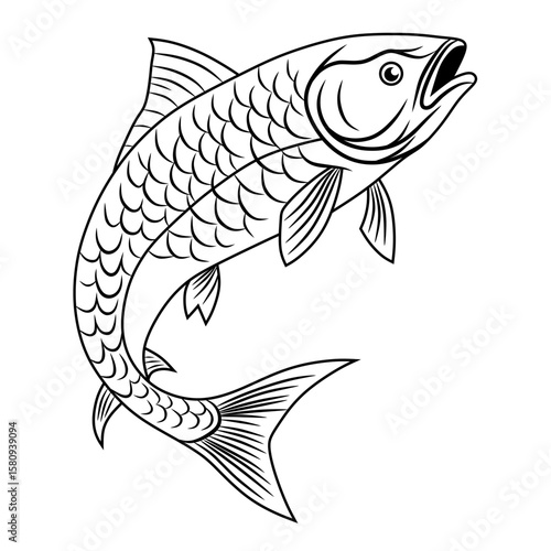 Detailed black and white line drawing of a mahseer fish, perfect for coloring pages, fishing guides, educational materials, or aquatic-themed design projects.