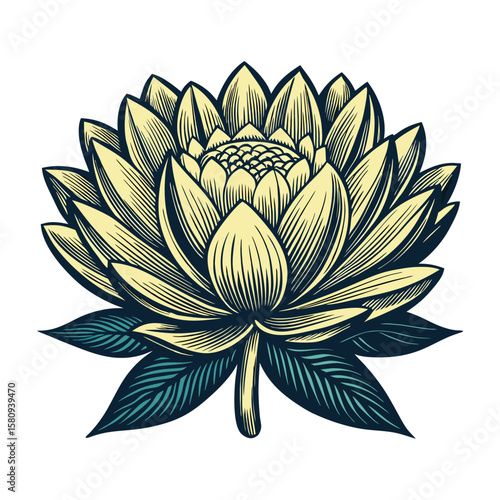 White-isolated water lily flower with green leaves, a beautiful floral vector illustration