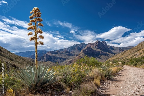 Death bloom spire of Chihuahuan Desert agave century plant, botanical drama for life cycle education, symbolic art, or ecological awareness campaigns.