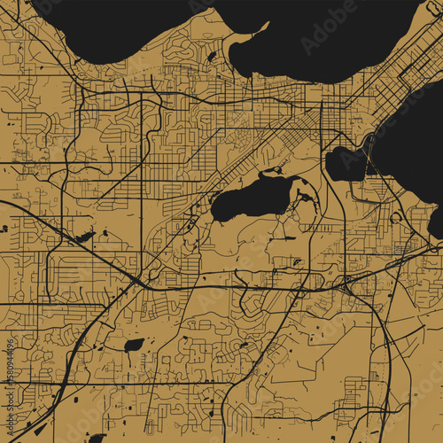 Madison City Map Art Print Sleek Linework Urban Grid Wall Decor in Refined Gold on Black Monochrome Style Featuring Modern Blueprint Aesthetic on Sophisticated Minimalist Backgrounds