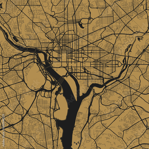 Washington D.C. City Map Art Print Sleek urban grid wall decor in refined monochrome, modern blueprint style with delicate linework, Gold on Black series features sophisticated and minimalist designs.