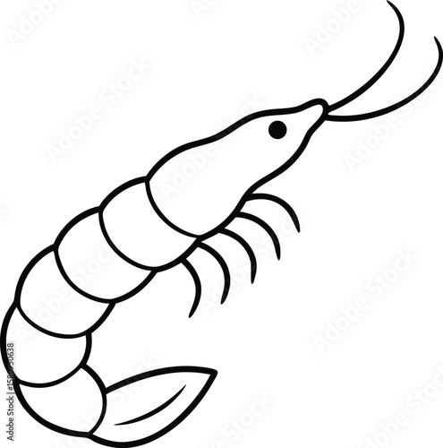 deep fried shrimp outline on white background