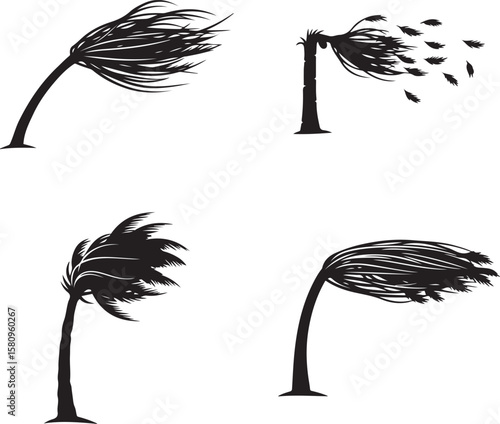 Four black silhouette palm trees bending in wind tropical