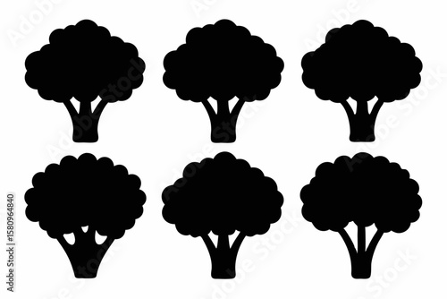 Black Silhouette Broccolini Icons - Vector Collection