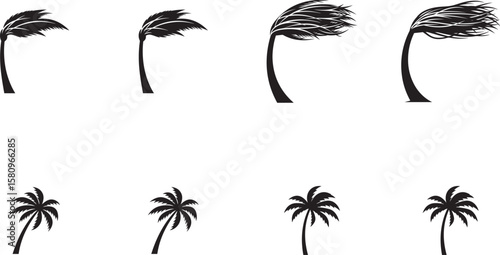 Black palm trees silhouette in wind and calm white