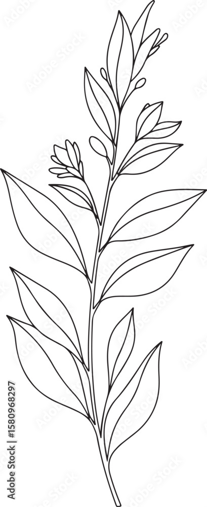 Fototapeta premium A vector illustration of a minimalist botanical outline of a branch with leaves and small flower buds.