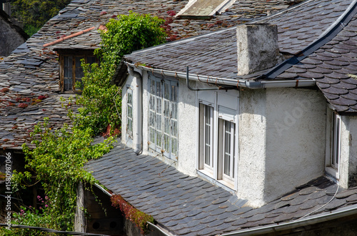 Charming rustic house with weathered slate roof and climbing greenery, typical for rural European architecture. Idyllic countryside vibes and peaceful surroundings.