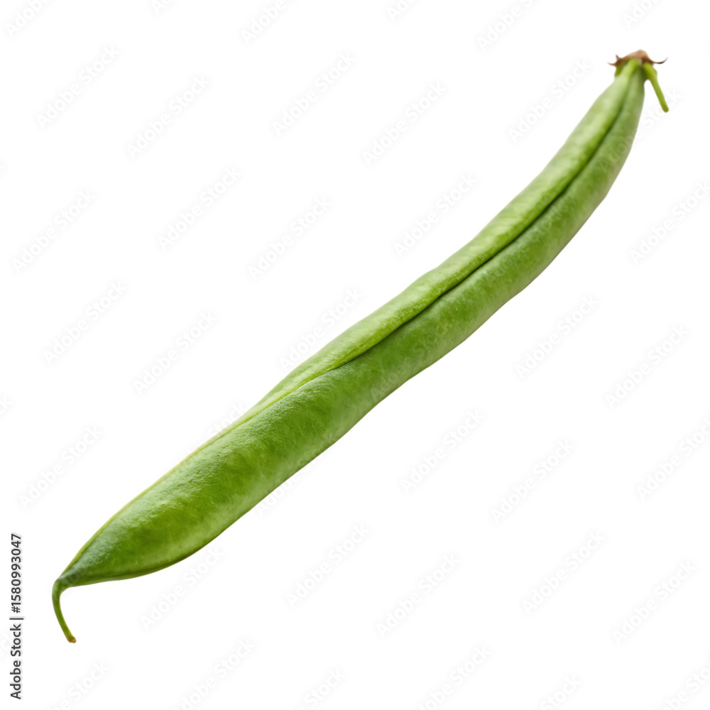 A single fresh green bean or string bean, a healthy and crisp vegetable, isolated on a transparent background png A single fresh green bean or string bean, a healthy and crisp vegetable, isolated on a transparent background png