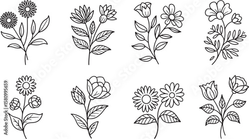 flowers and leaves bundle silhouette line art design illustration premium quality
