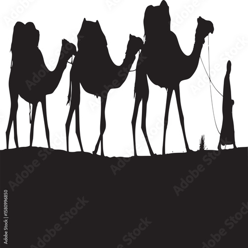 Silhouette of a man leading three camels across a desert landscape in black and white photography