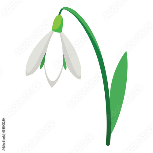 A delicate white snowdrop flower with subtle green markings, a sign of spring.