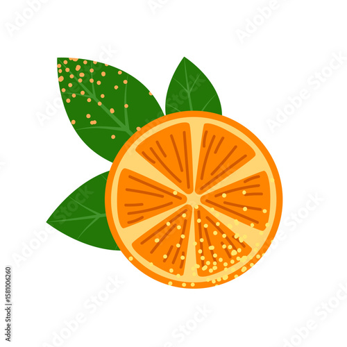 Set of mulled wine mugs with orange slices, anise and cinnamon sticks. Autumn hot drink. Vector illustration on white background