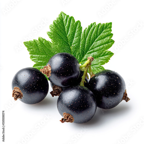 Black currant isolated. Currant black with leaves on white background. Perfect retouched currant berry with leaf. Berries with clipping path. Full depth of field