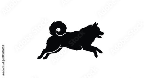 Dynamic Silhouette of an Active Japanese Akita Dog in Mid-Stride