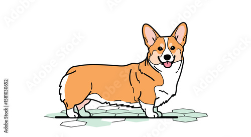 Adorable Pembroke Welsh Corgi Dog Standing Proudly on Green Grass with Tongue Out