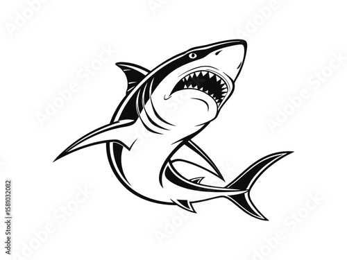 Powerful monochrome illustration of a great white shark with sharp teeth