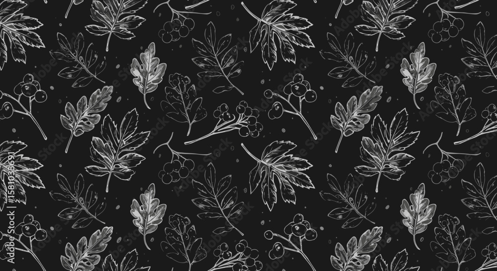 Fototapeta premium Black background with white botanical leaf illustrations pattern 