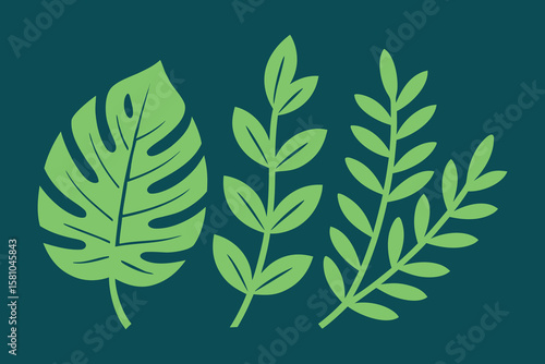 Tropical Monstera Leaf and Botanical Branches Illustration on Dark Background