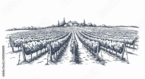 vineyard porcelain decoration design (dark blue)
