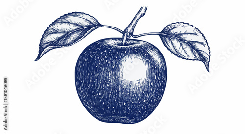 apple porcelain decoration design (dark blue)