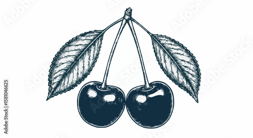 cherry porcelain decoration design (dark green)
