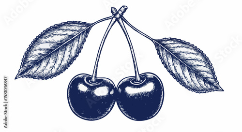 cherry porcelain decoration design (dark blue)