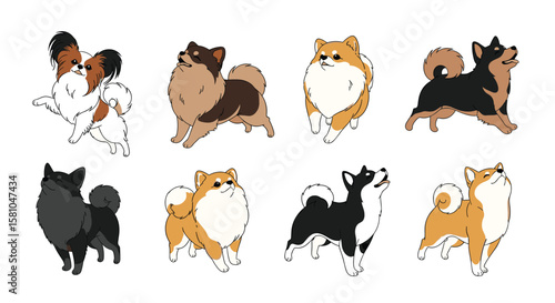 Cute Fluffy Dog Breeds Vector Illustration Collection Featuring Various Poses and Colors