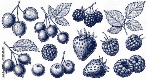 Strawberries, raspberries, blueberries, and blackberries porcelain decoration design (dark blue)