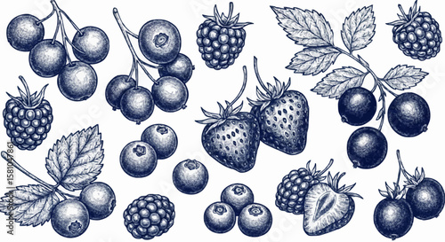 Strawberries, raspberries, blueberries, and blackberries porcelain decoration design (dark blue)