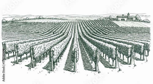 Vineyard porcelain decoration design (dark green)