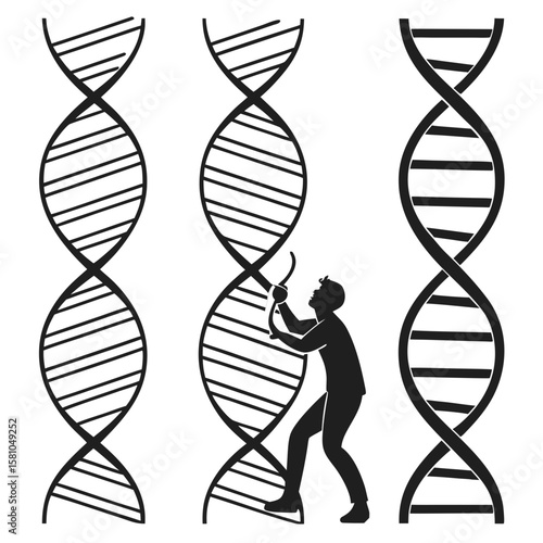 Person interacting with D N A helix structures double helix