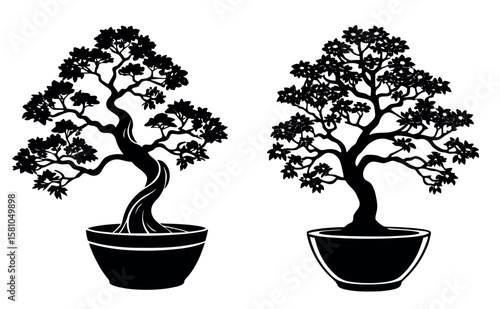 Bonsai Tree Silhouette Vector Set