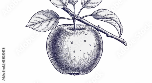 apple porcelain decoration design (dark grey)