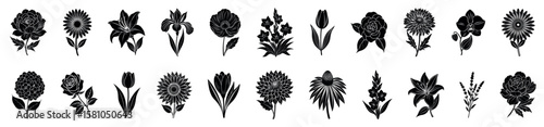 Floral Silhouette Vector Set